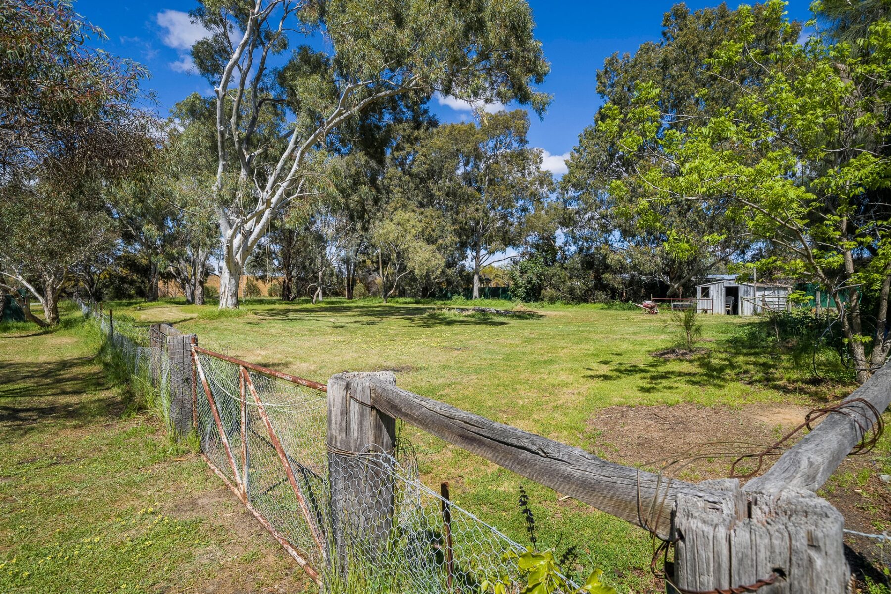 Property: 9 Tomlin Street, West Swan, WA, 6055 photo-27