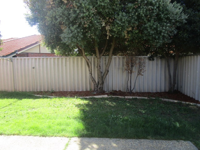 Rental: Innaloo, WA, 6018 photo-5