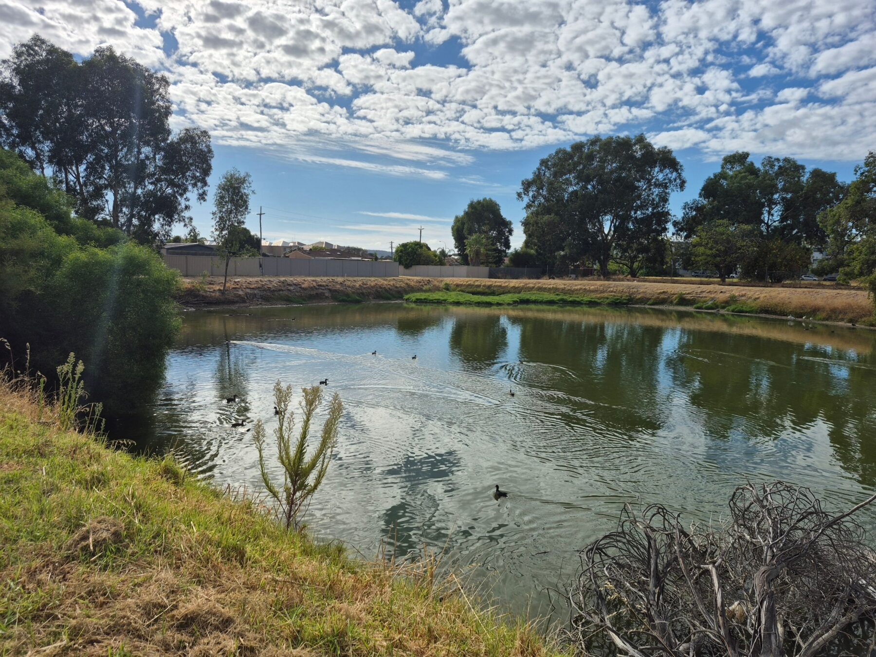 Land: 21 Central Terrace, Beckenham, WA, 6107 photo-6