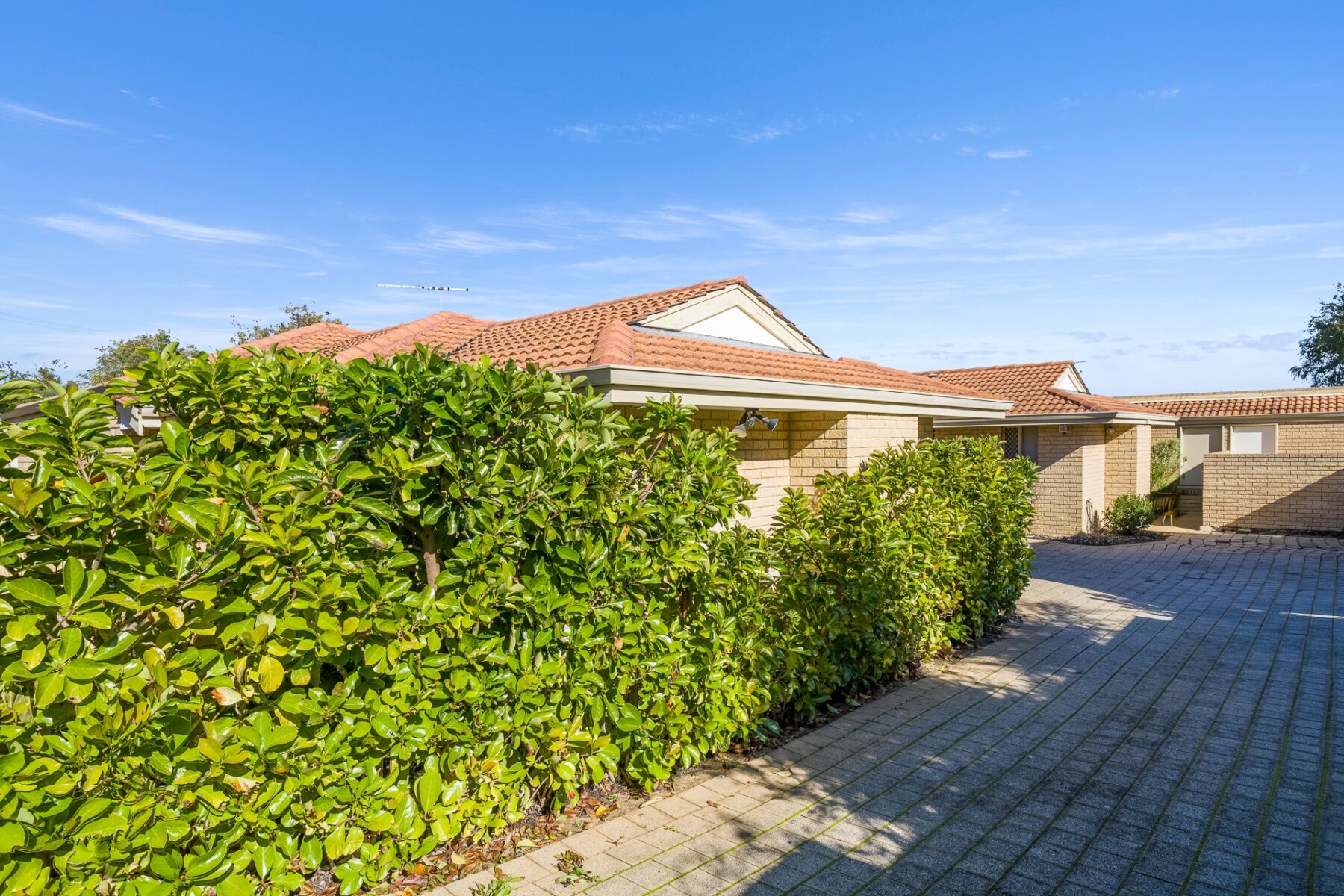 Property: 3/45 Wilcock Avenue, Balcatta, WA, 6021 photo-19