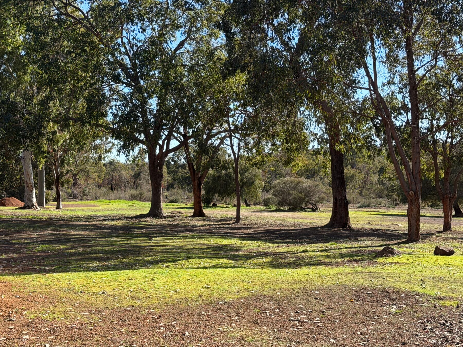 Property: 258 Louisa Circle, Morangup, WA, 6083 photo-7