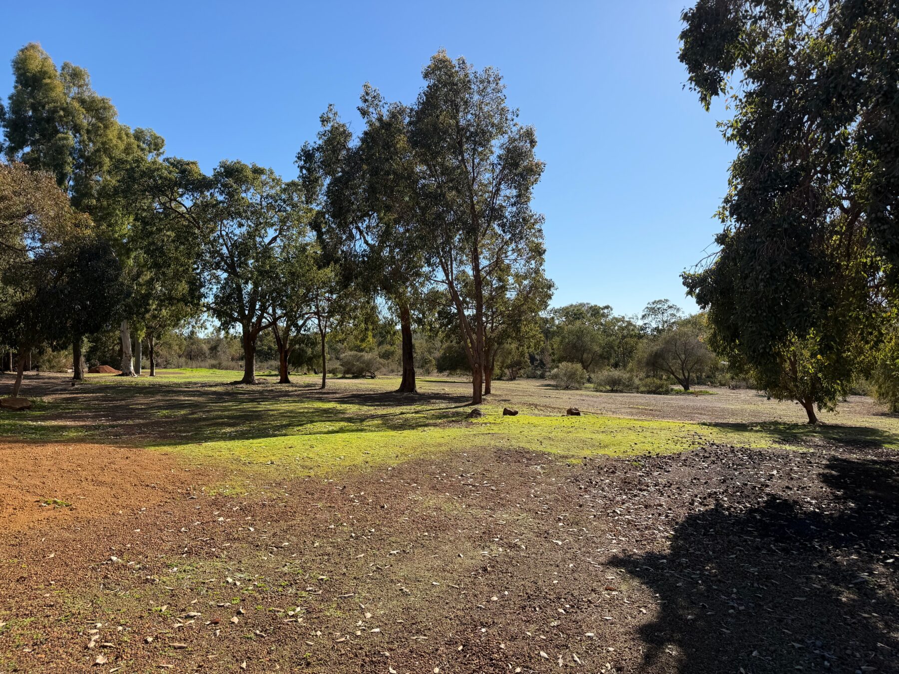 Property: 258 Louisa Circle, Morangup, WA, 6083 photo-9